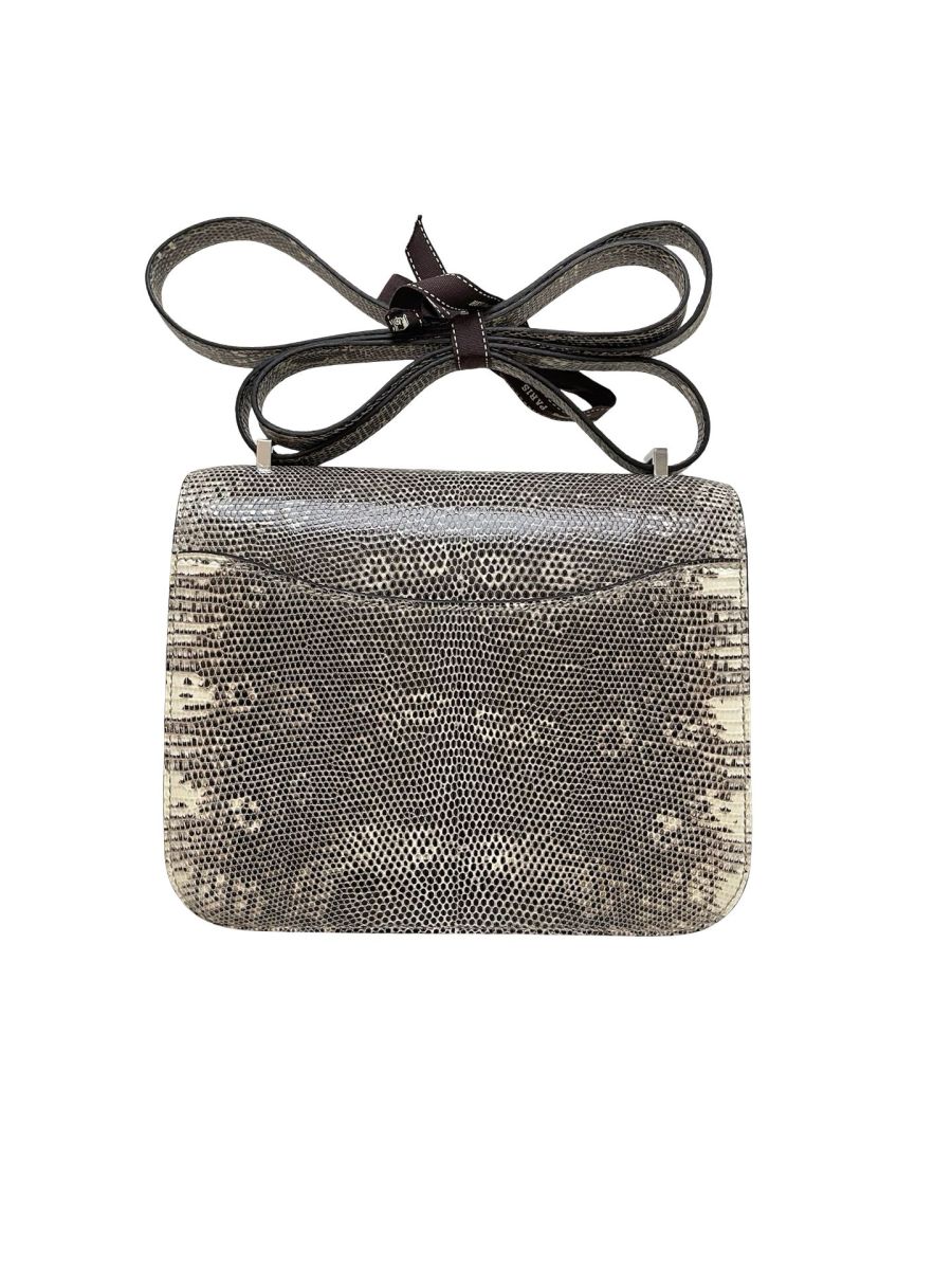 Hermes Constance 18 Ombre Lizard - Image 2